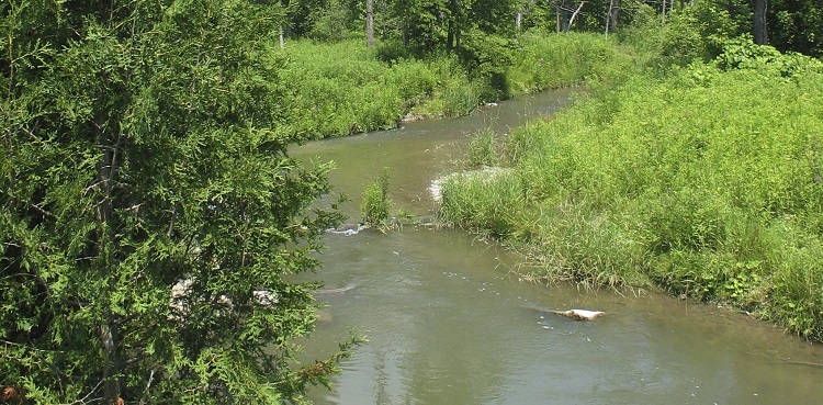 Lake Ontario Waterfront nearshore monitoring nutrient sources