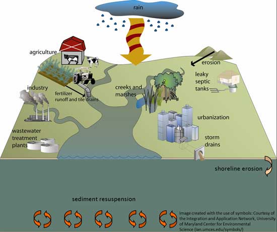 Lake Ontario Waterfront nearshore monitoring nutrient sources