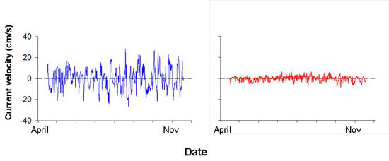 Lake Ontario Waterfront nearshore monitoring currents