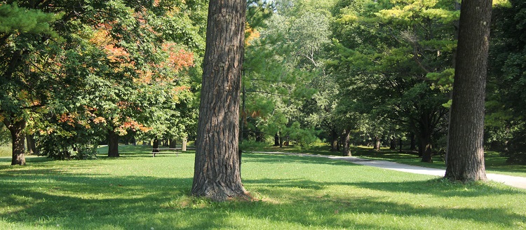 Boyd Conservation Area hiking trail