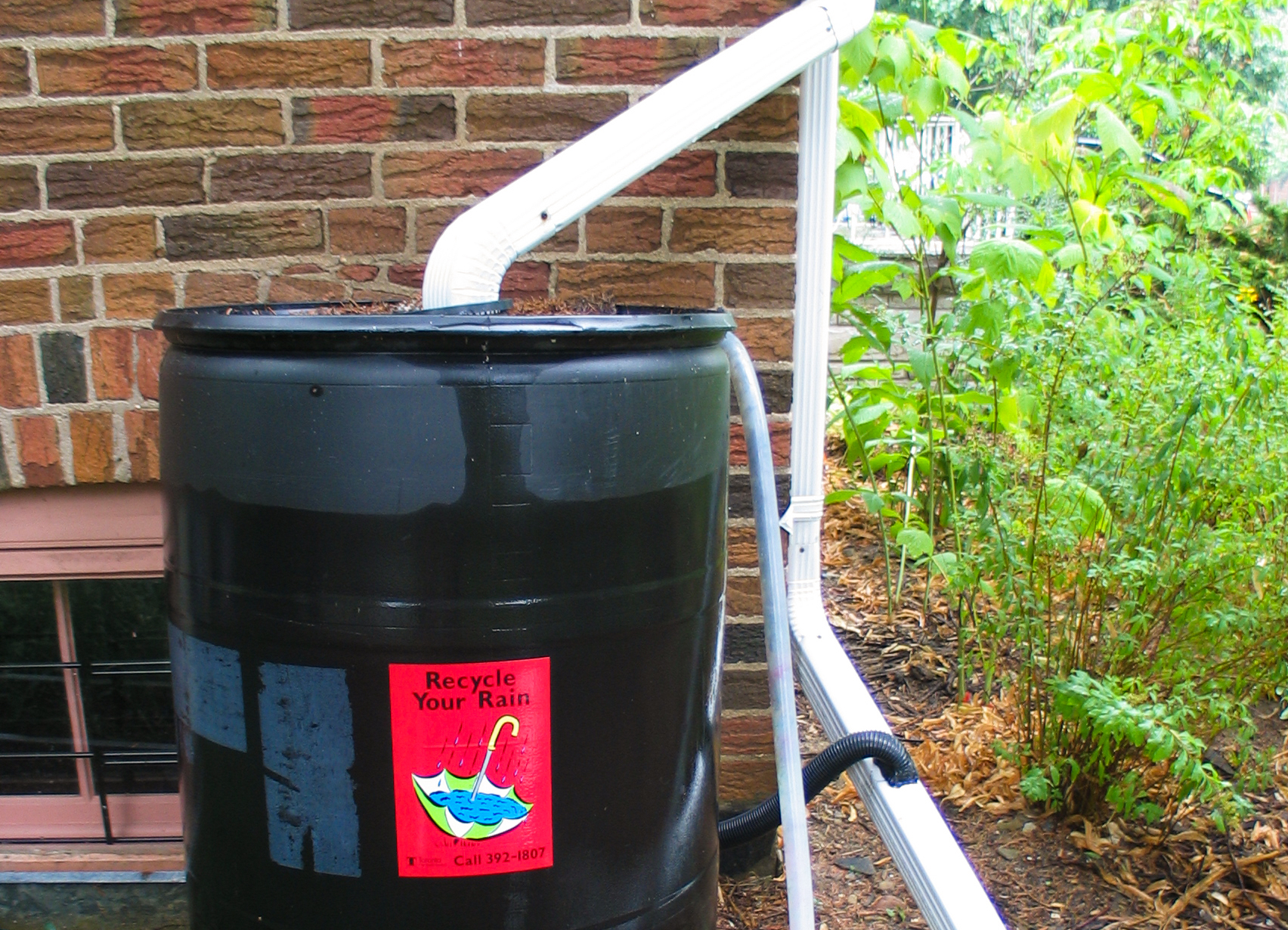 How to set up a rain barrel and harvest rainwater Toronto and Region