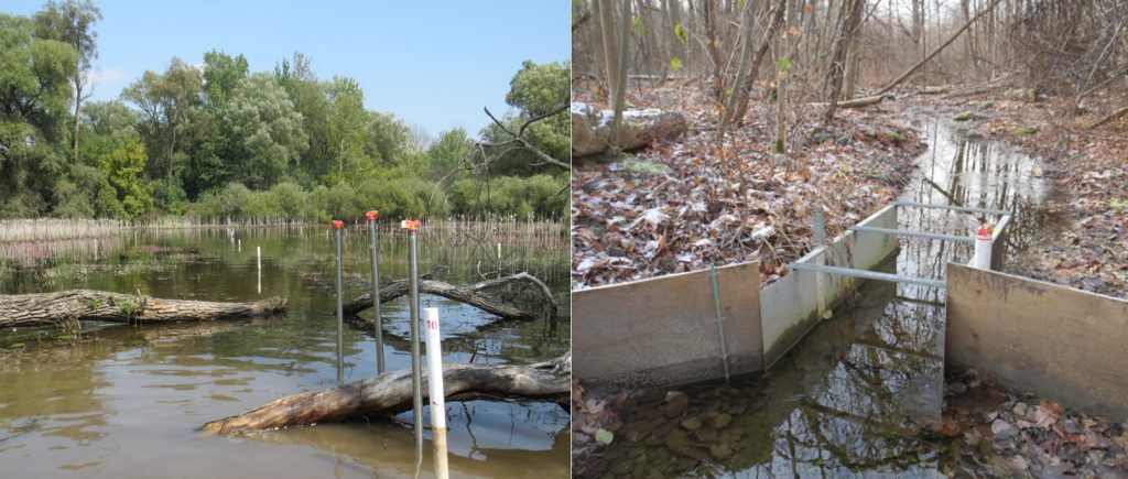 Left: study transect with piezometers; Right: flume measuring surface water leaving a wetland