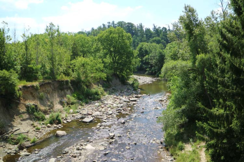 Erosion along Highland Creek
