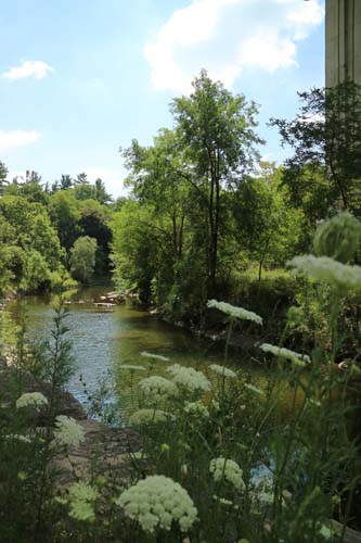 Highland Creek with flowers