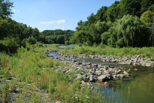 Highland Creek