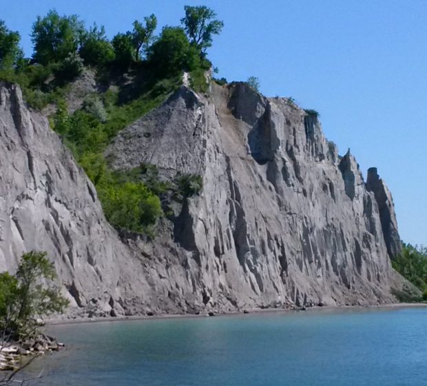 Baseline beginnings: Surveying species and spaces for the Scarborough Waterfront Project