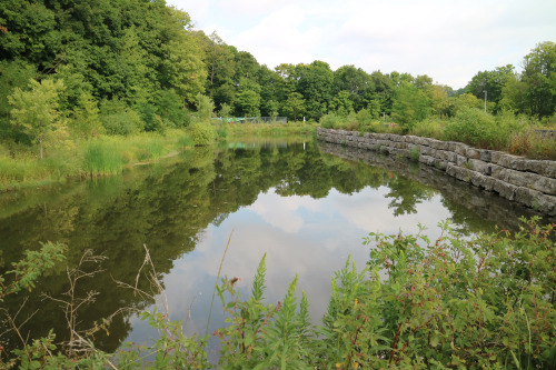 Earl Bales Stormwater Management Pond