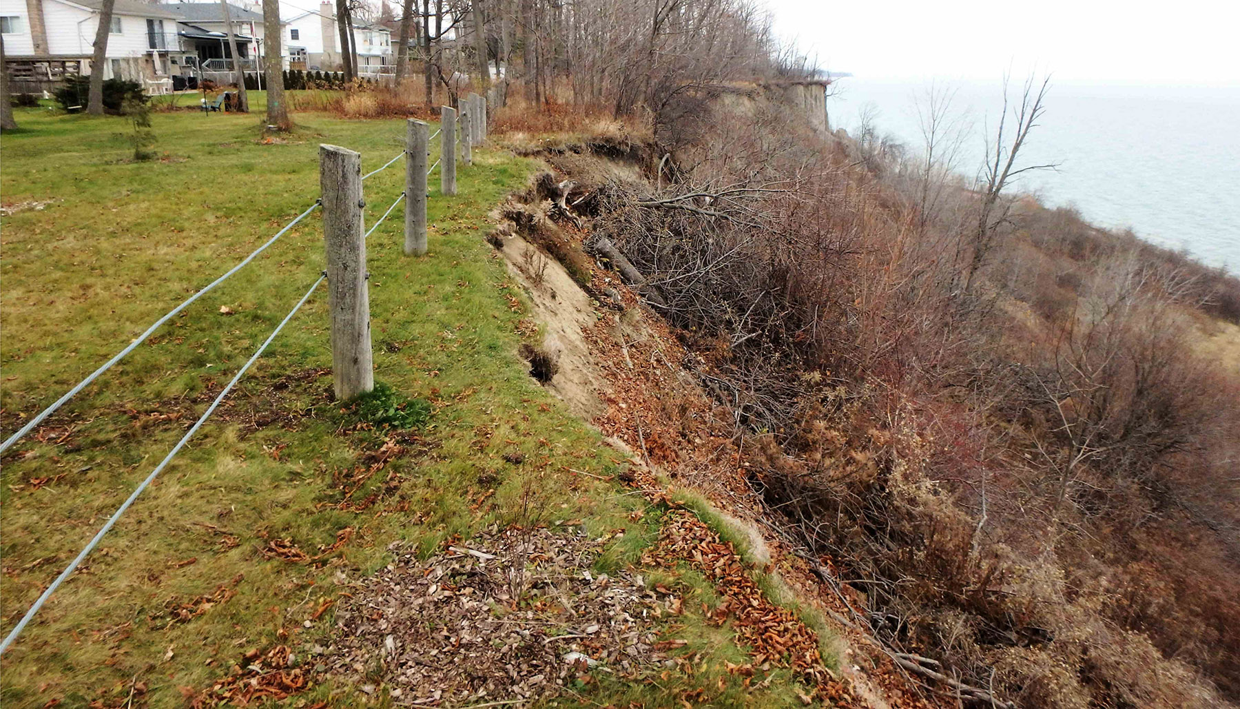 debris buildup at the top of the Scarborough Bluffs
