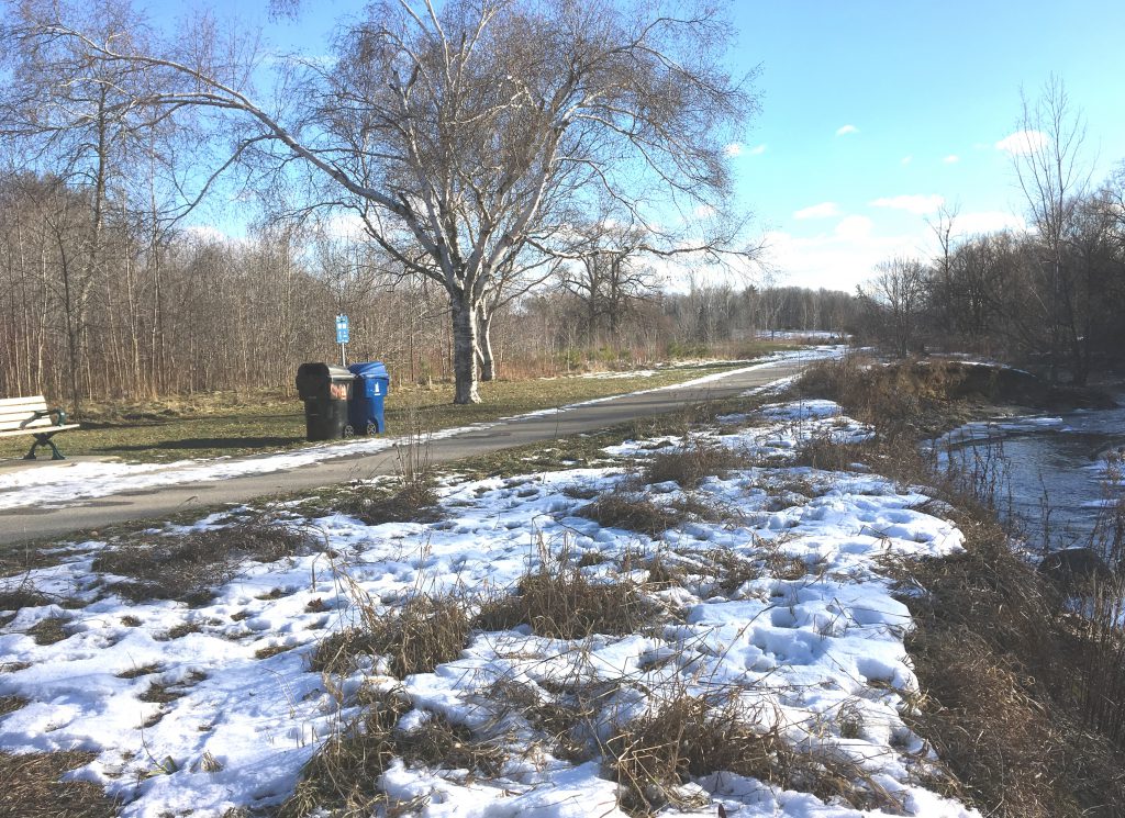 Watercourse on right with asphalt trail at top of bank on left.
