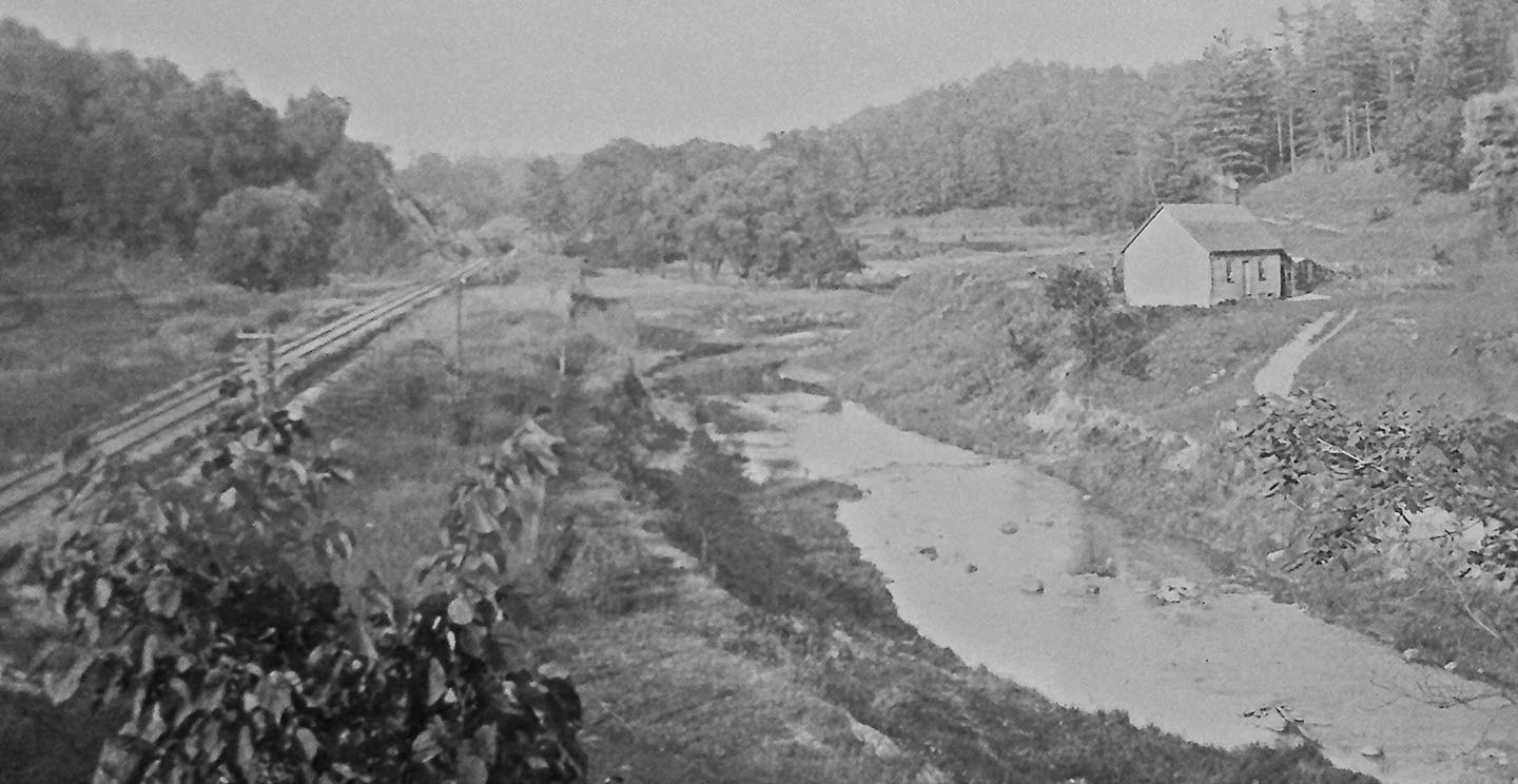 archival photo of cottage at the Forks of the Don