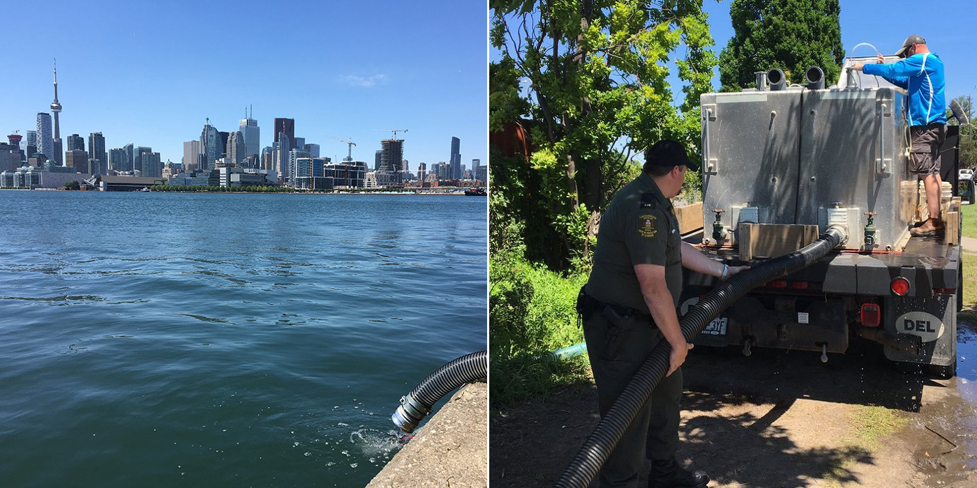 images of pipe and truck from release of walleye in Toronto Harbour