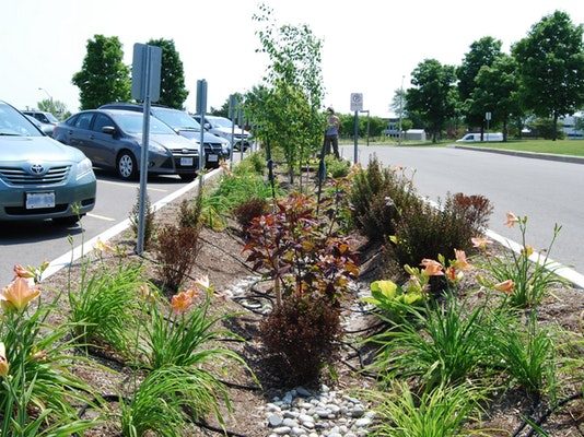 Low Impact Development, bioswale, rain garden