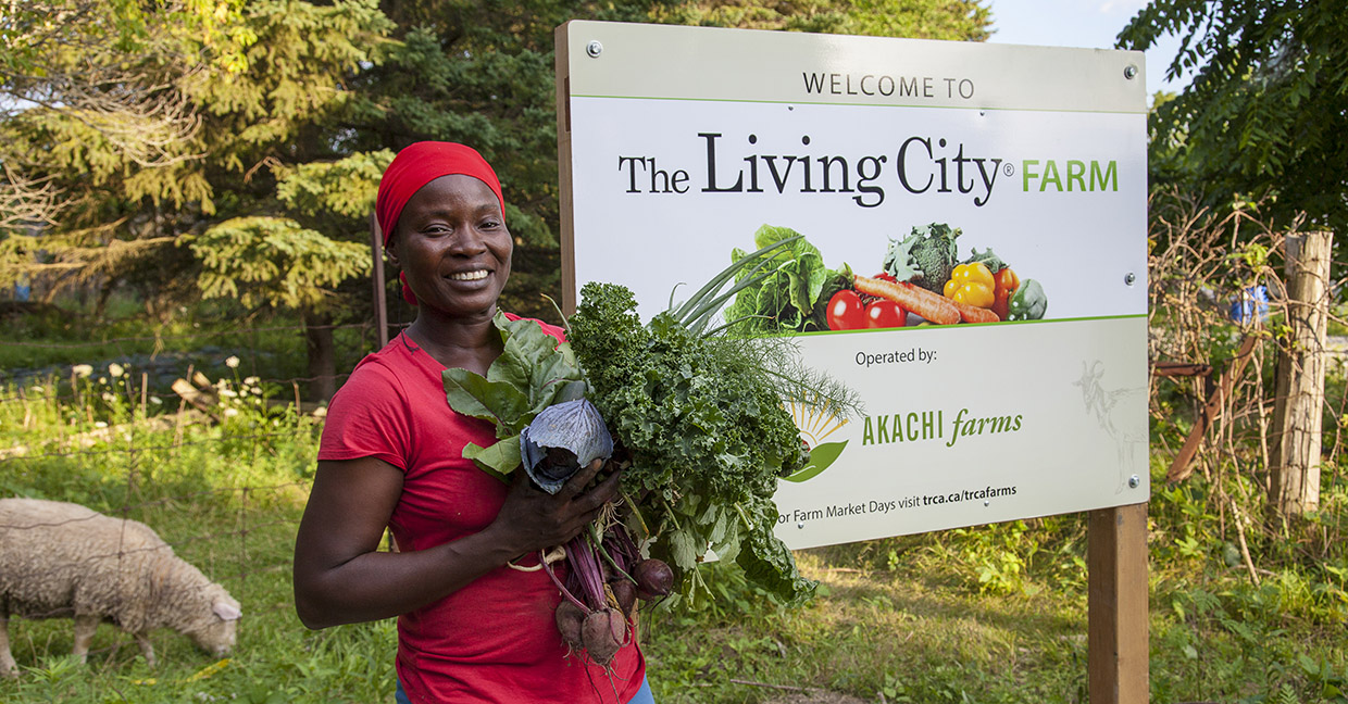 farmer displays produce at Living City Farm
