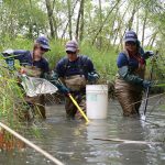 TRCA field staff monitoring fish habitat
