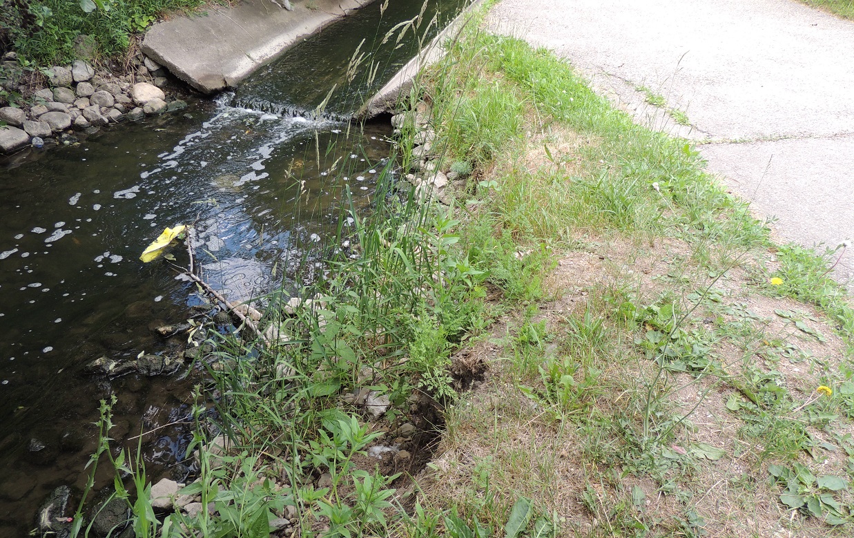 Concrete channel and rip rap revetment causing erosion of the bank adjacent to Chinguacousy Trail