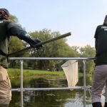 TRCA monitoring team members electrofishing at Toronto Island