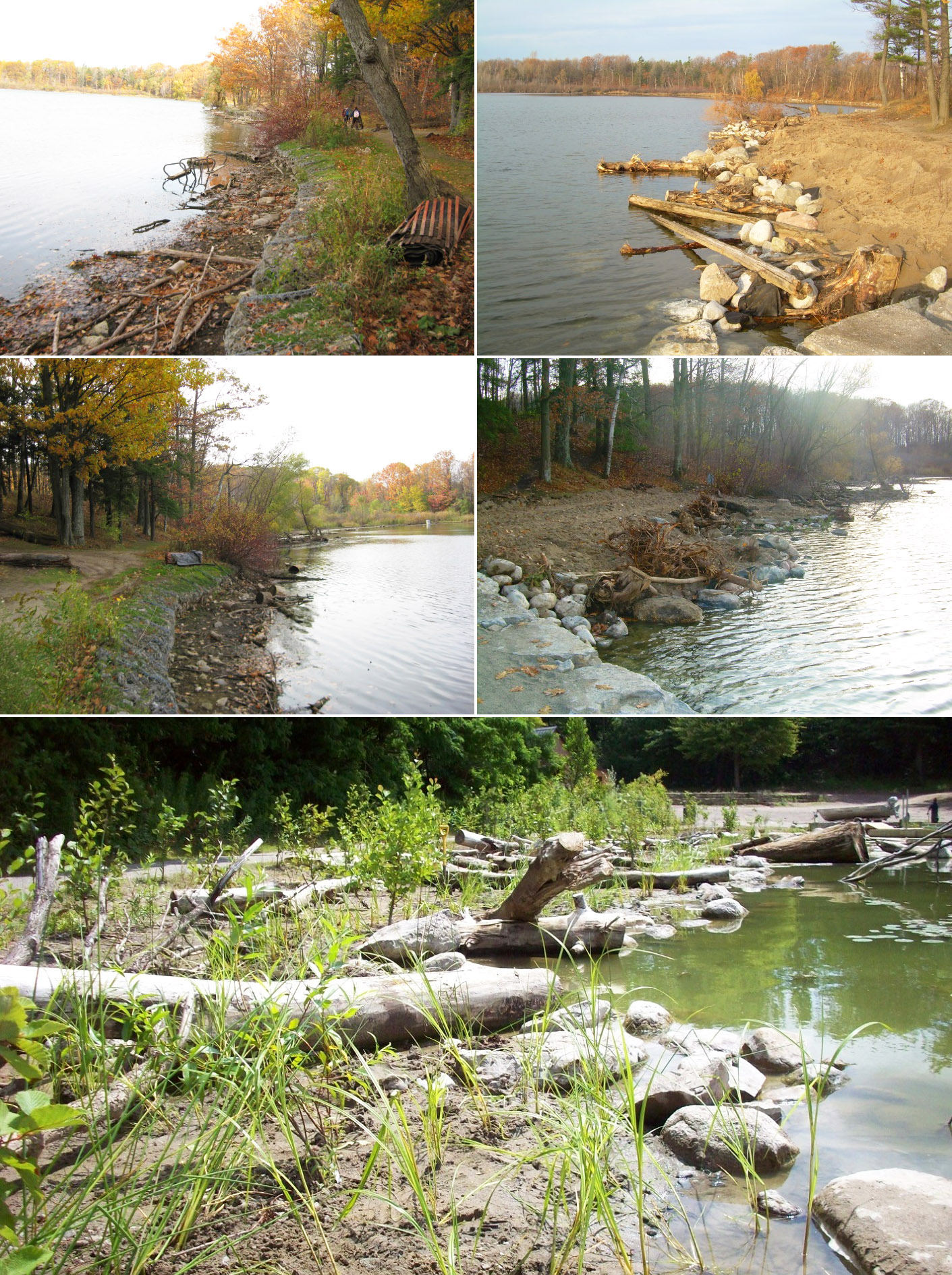 Heart Lake shoreline restoration project