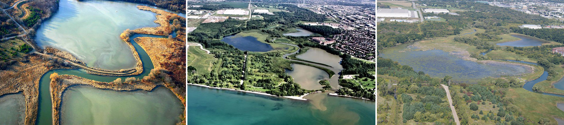 TRCA wetland restoration project at Corner Marsh