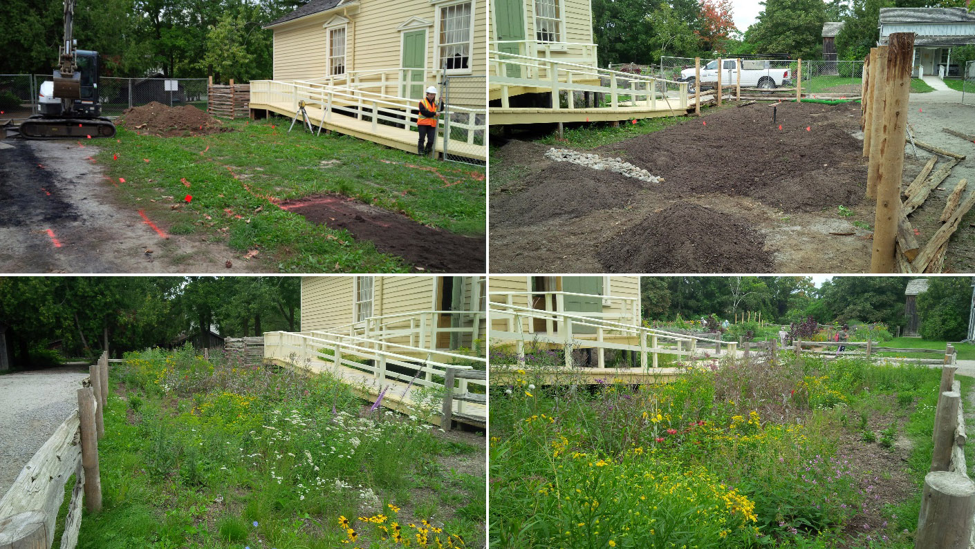 rain garden at Black Creek Pioneer Village