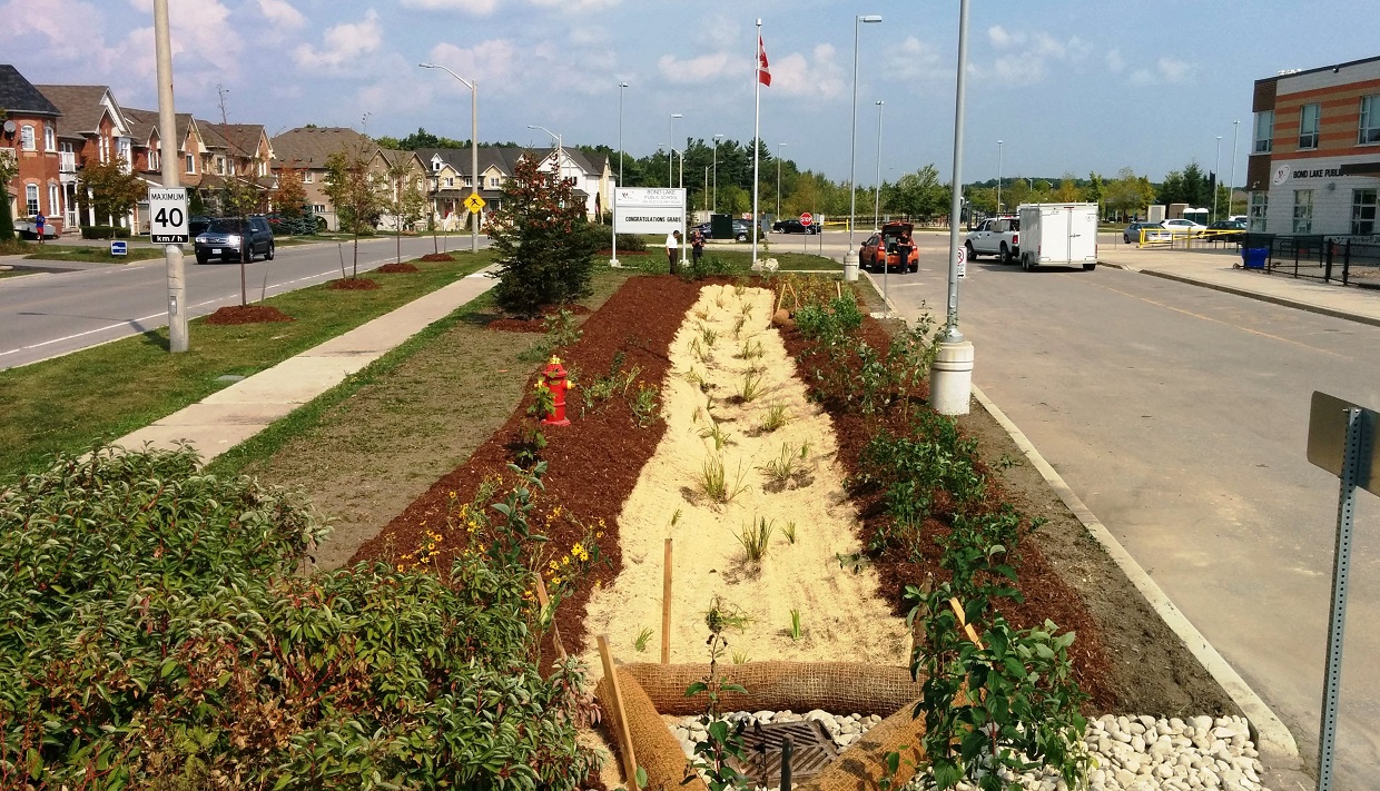 Bond Lake Bioswale