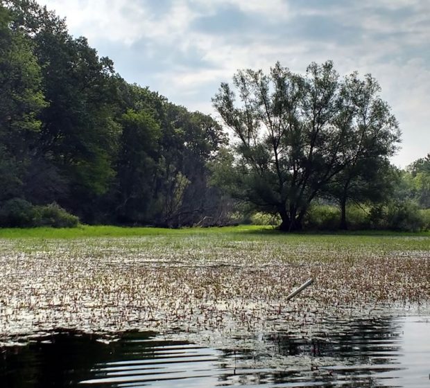 Feature-based Water Balance in the Planning Process