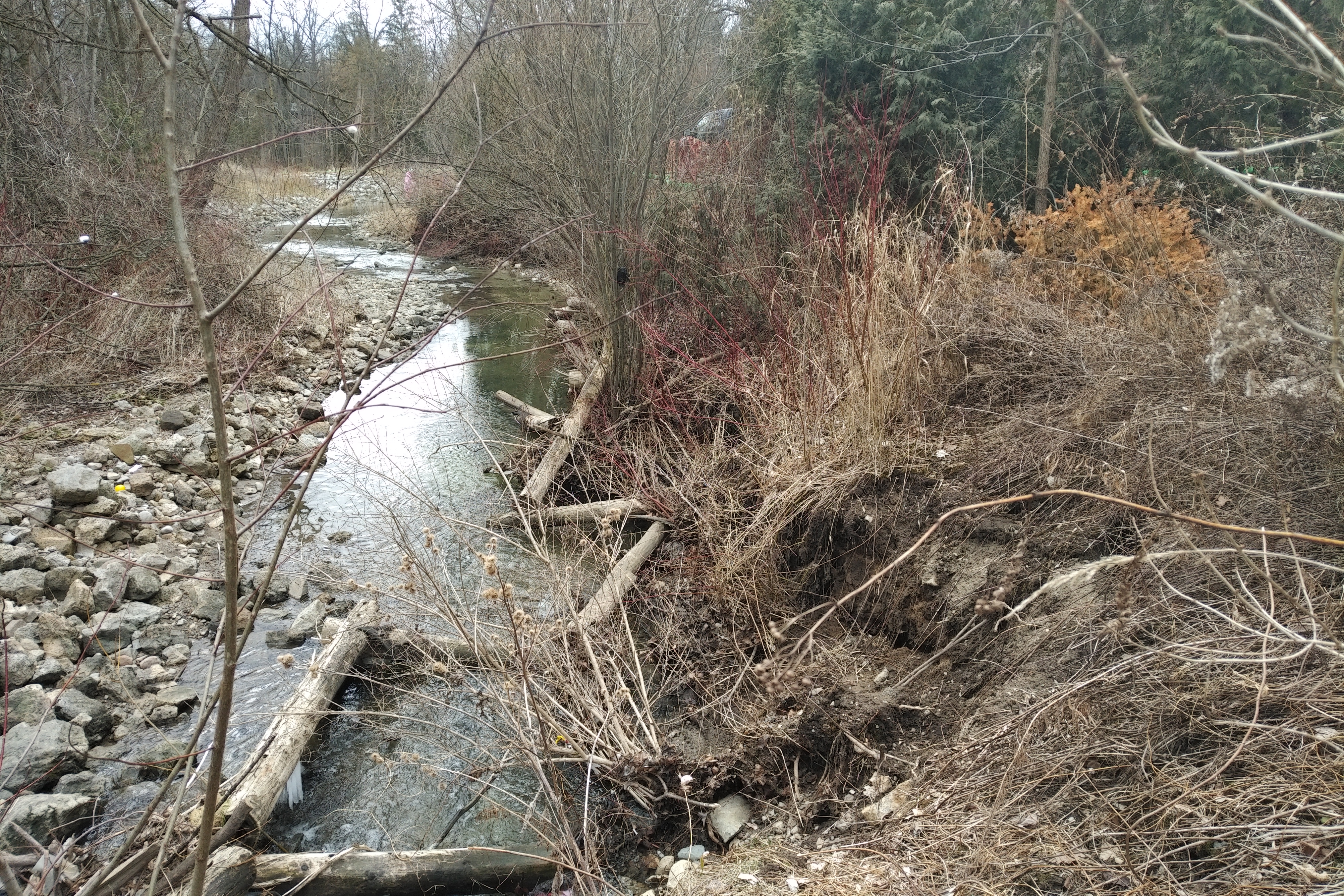 Photo of failed cribwall and scour at site CC