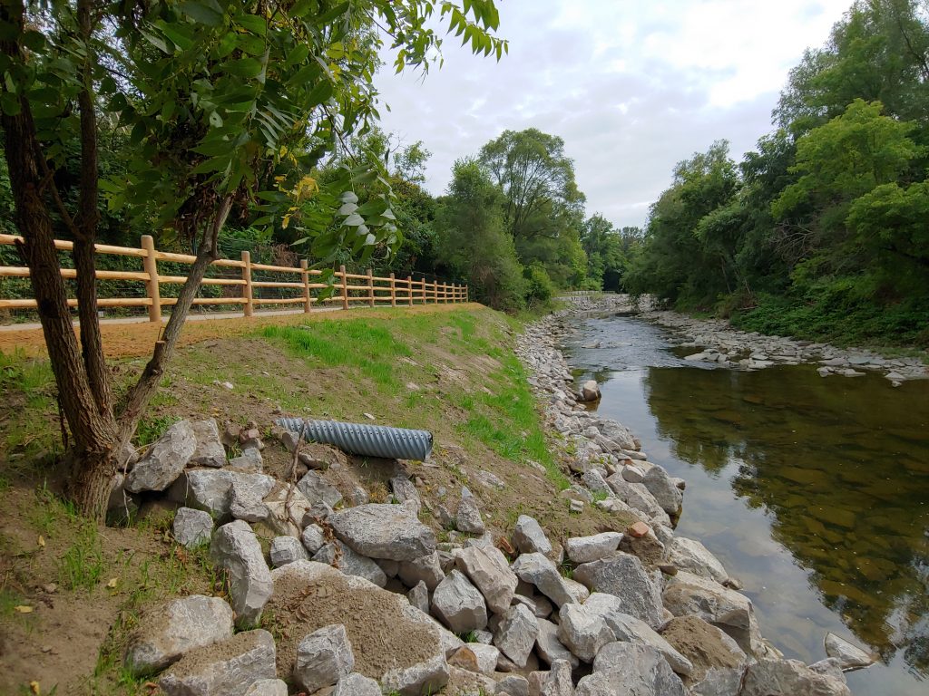 Completed vegetated buttress with post-and-paddle fencing at upstream end of site