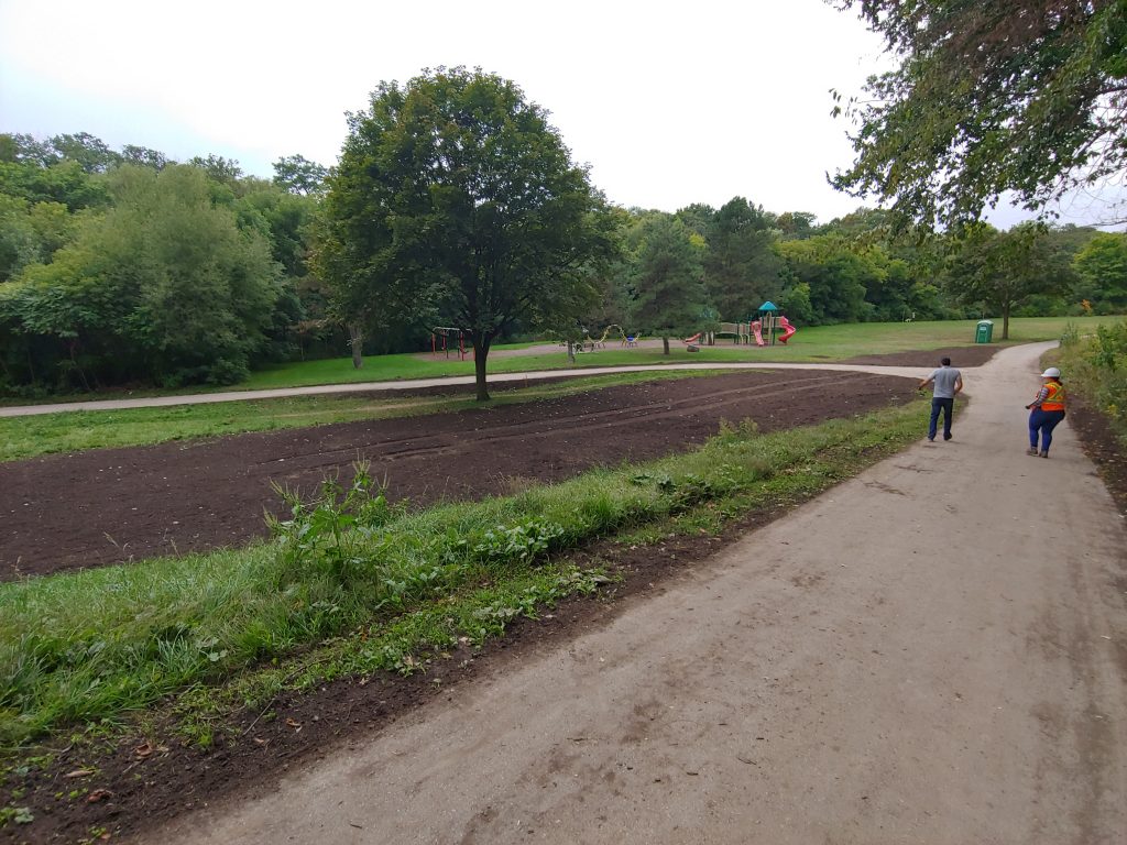 Terraseeded area of Etobicoke Valley Park