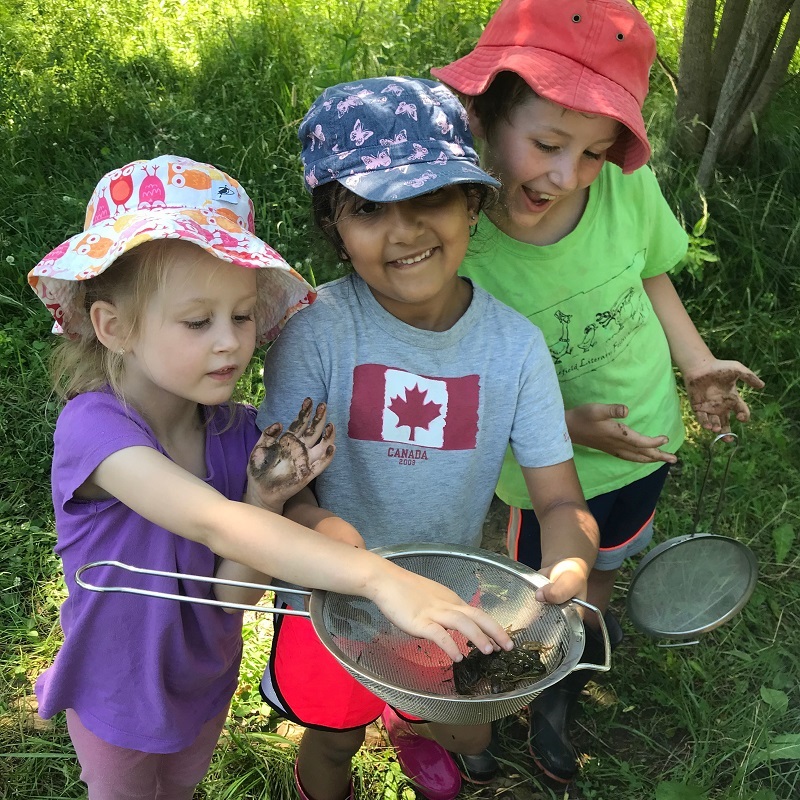 campers discover aquatic wildlife at Lake St George summer nature camp