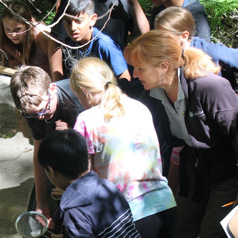 Albion Hills team member leads stream study program