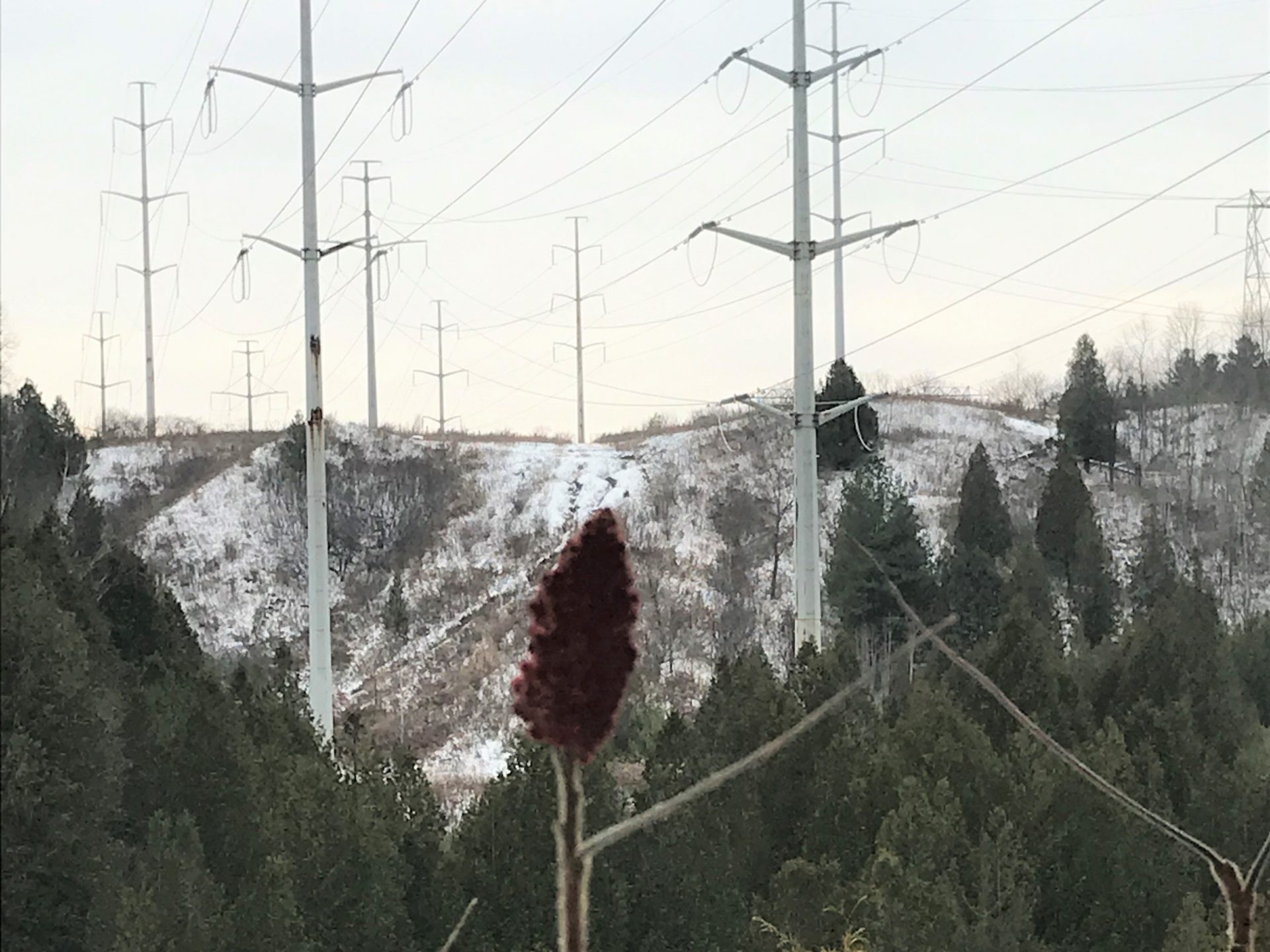 View of a ravine valley and hydro corridor in The Meadowy in winter
