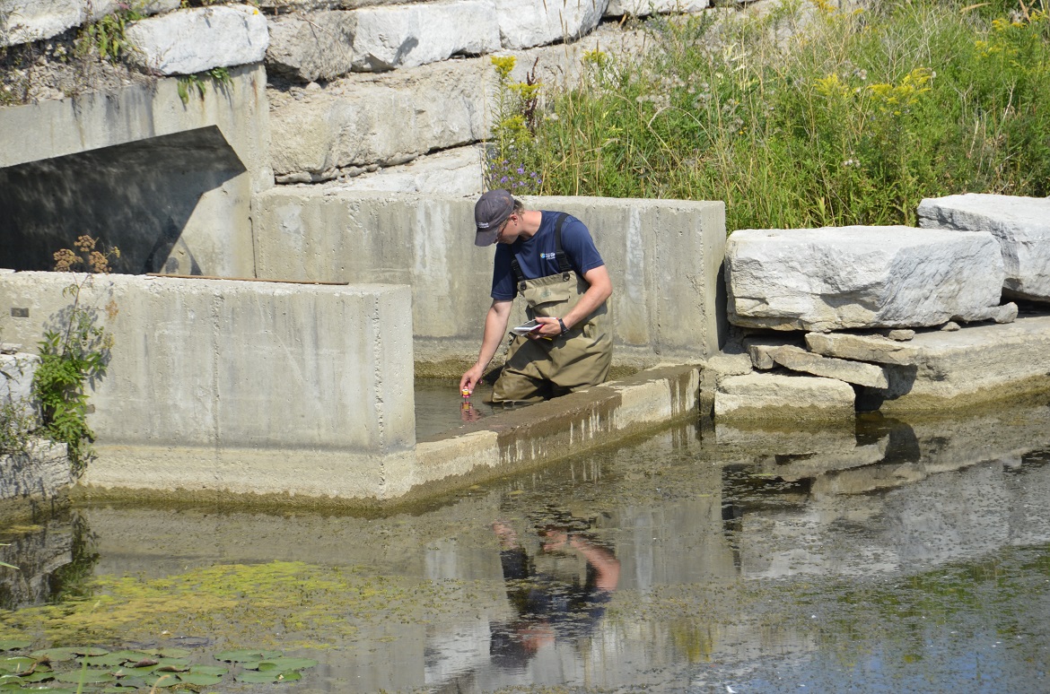 TRCA staff member assesses an anthropogenic barrier