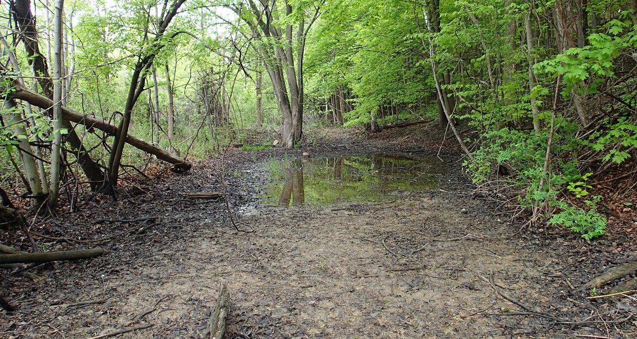 user-created trail