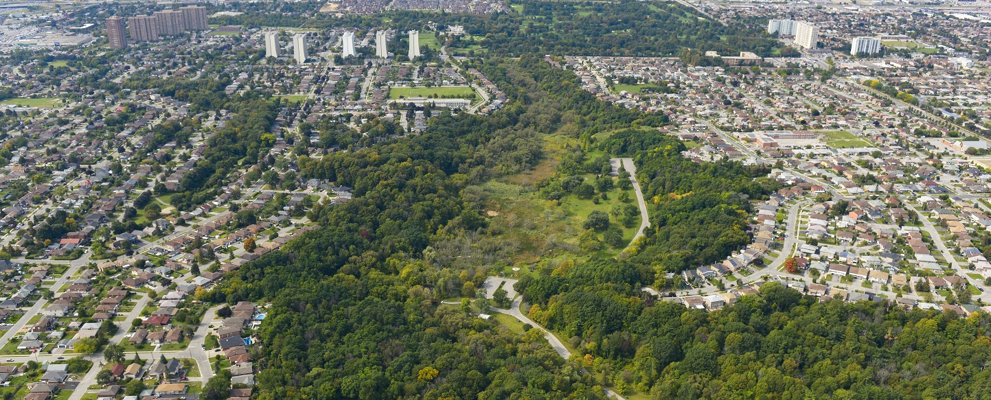 aerial view of Rockcliffe-Smythe neighbourhood in vicinity of Black Creek Dam