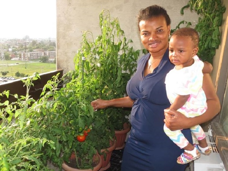 resident takes part in balcony gardening program at San Romanoway Towers