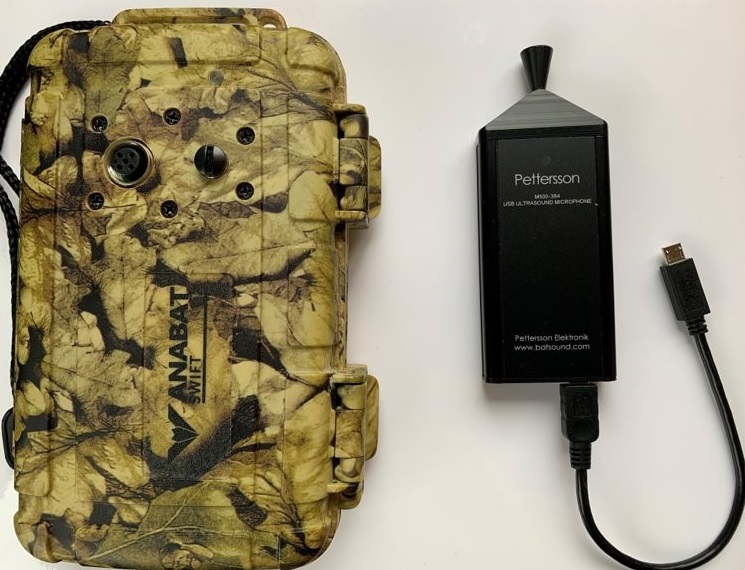 devices used to record echolocation calls