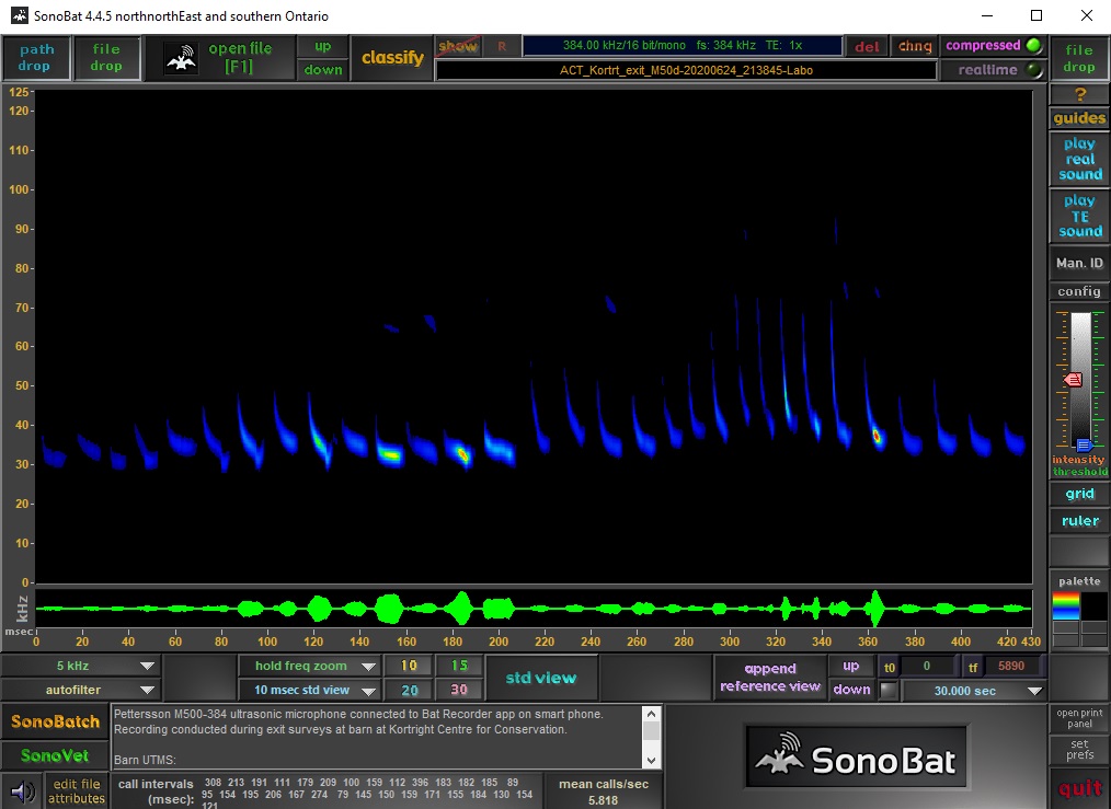 sonogram displays call signature of eastern red bat