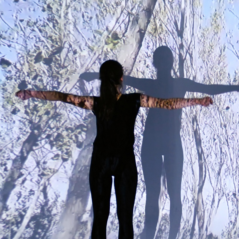 augmented reality experience
